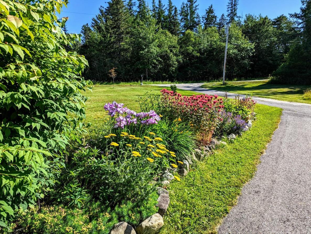 Pine And Sea Beach Retreat Villa Ellsworth Exterior photo